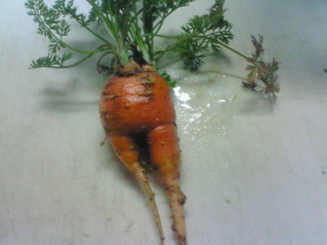 200903292114000.jpg