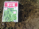 200904051450000.jpg