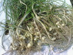 200904051510000.jpg