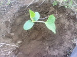 200904141136000.jpg